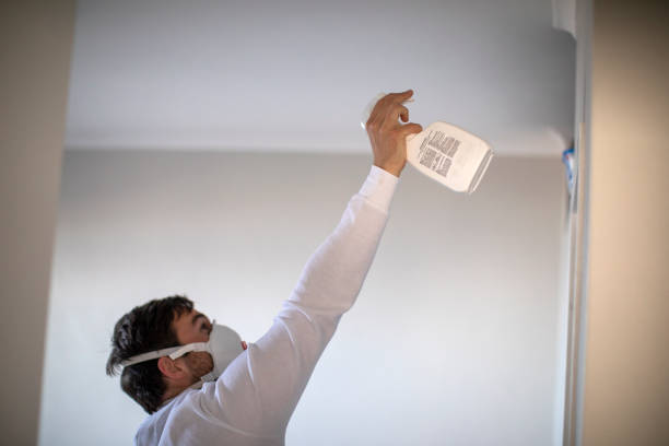 Best Commercial Mold Removal  in Sauk Centre, MN