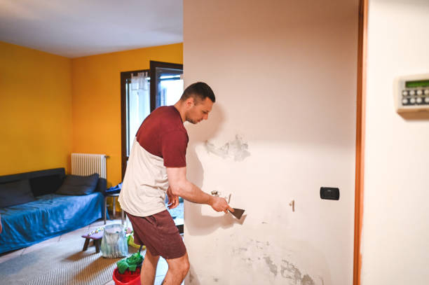 Home Mold Removal in Sauk Centre, MN